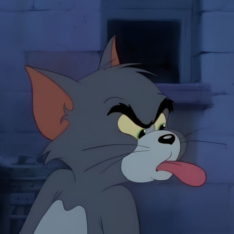 Meme mèo Tom tức giận - 3