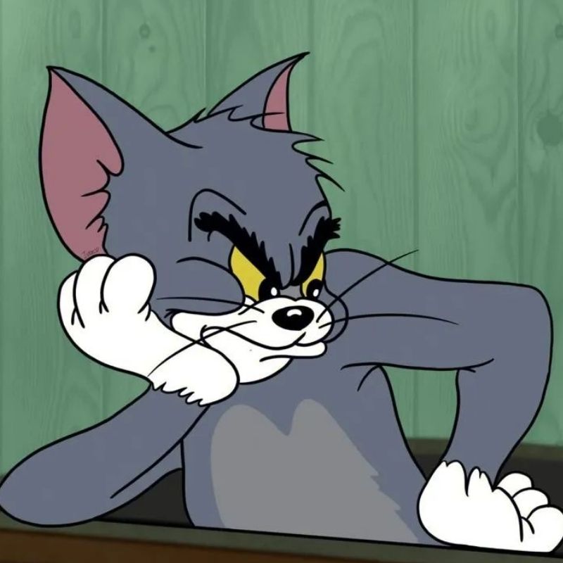 Meme mèo Tom tức giận - 4