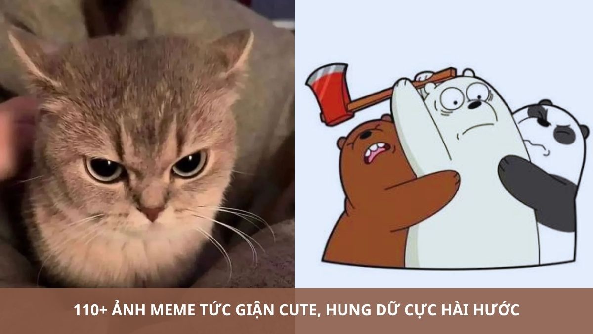 110+ Ảnh meme tức giận cute, hung dữ cực hài hước