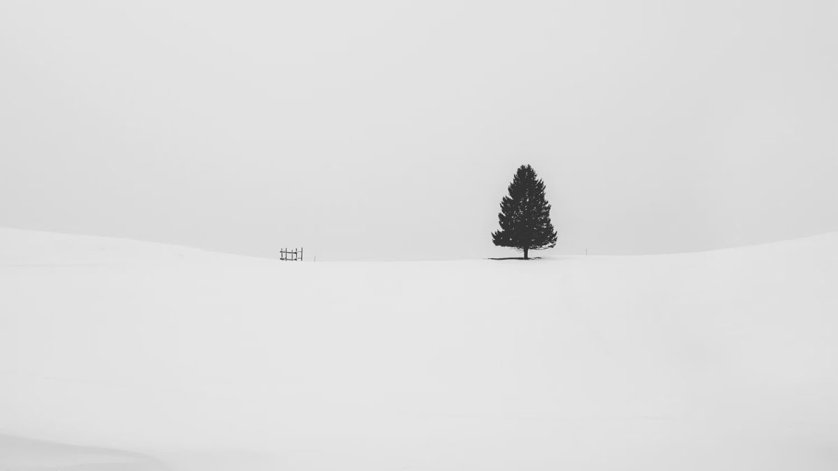Hình nền máy tính 4K Minimalism - 5