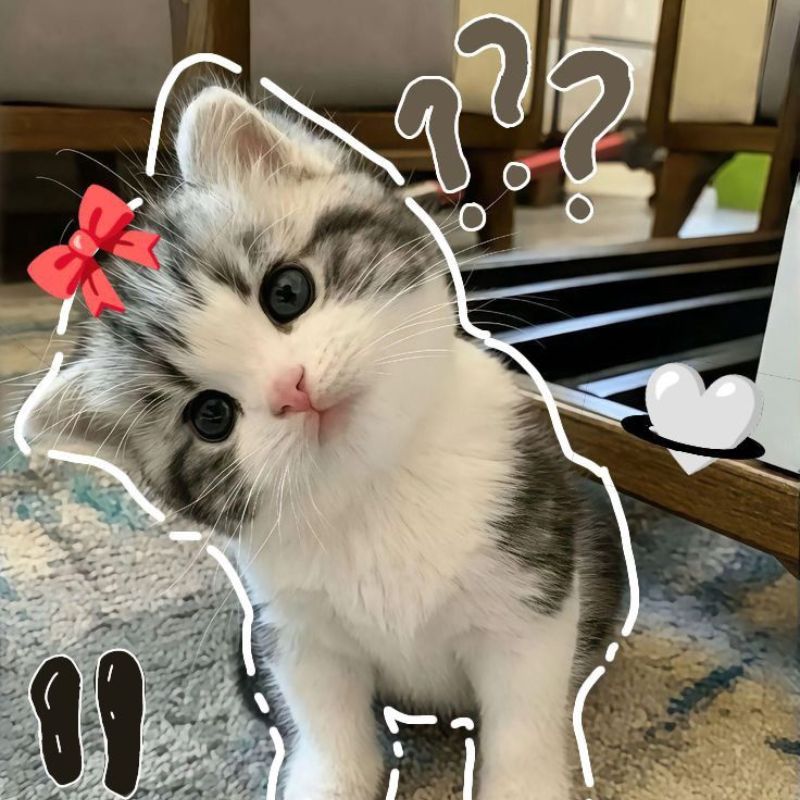 Avatar mèo vô tri dễ thương - 1