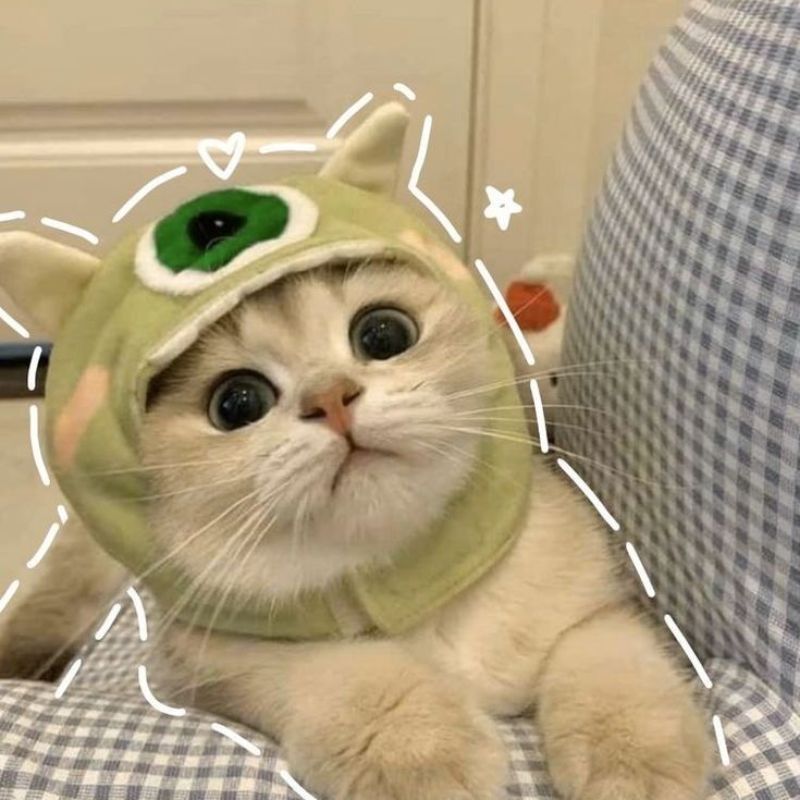 Avatar mèo vô tri lầy lội đáng yêu - 5