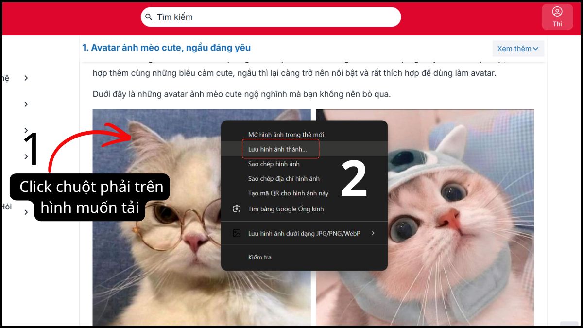 Cách tải ảnh avatar mèo vô tri trên máy tính - bước 1