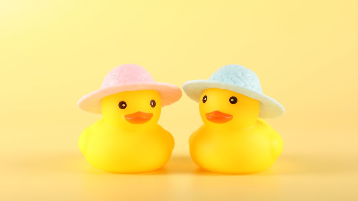 Tại sao avatar vịt cute được yêu thích nhiều hiện nay?