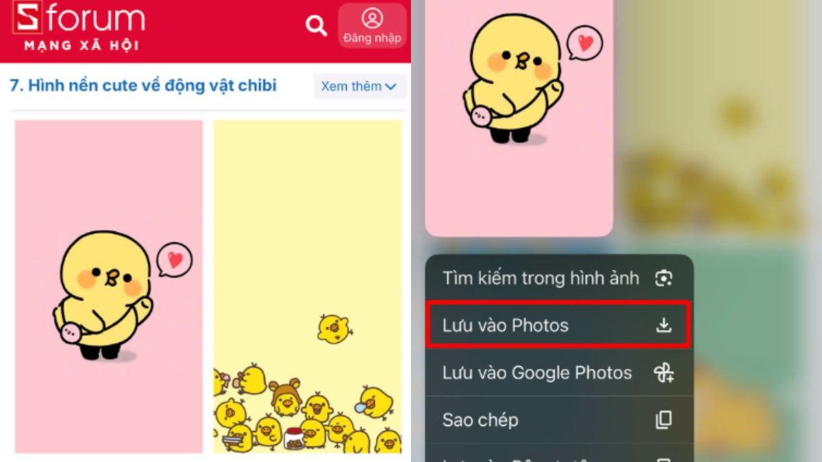 Cách tải avatar vịt cute đẹp chất lượng