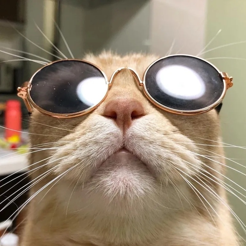 Avatar vô tri nam cool ngầu - 5