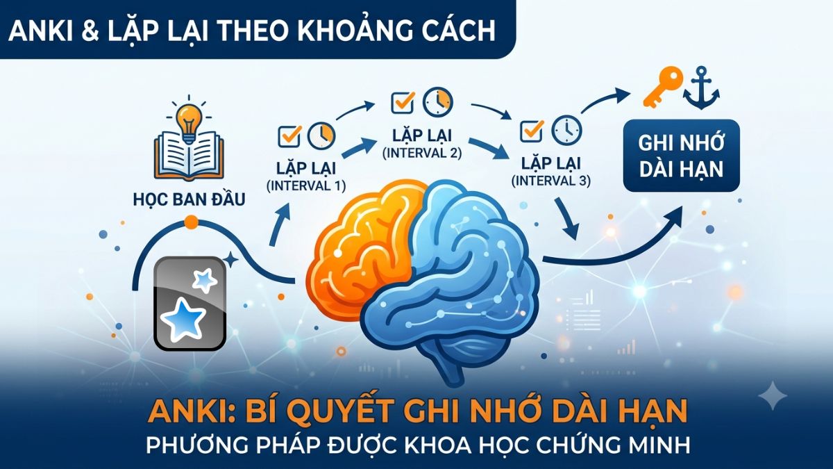 Các công cụ AI hỗ trợ ghi chú, tổ chức và quản lý việc học - anki