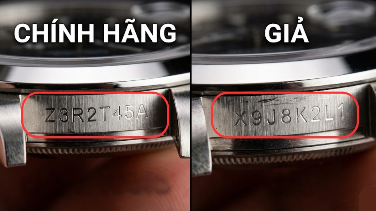 Hướng dẫn các cách check đồng hồ Rolex chính hãng - mã số seri