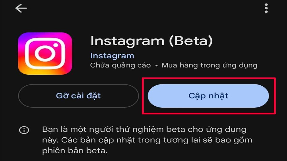 Các lỗi thường gặp khi tắt tài khoản doanh nghiệp Instagram - không tìm thấy tùy chọn về tài khoản cá nhân