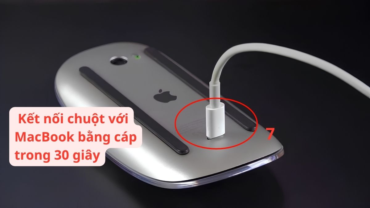 Khắc phục lỗi MacBook không nhận Magic Mouse - bước 3
