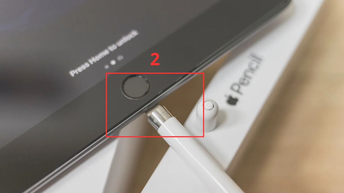 Cách sạc pin Apple Pencil 1 - bước 2