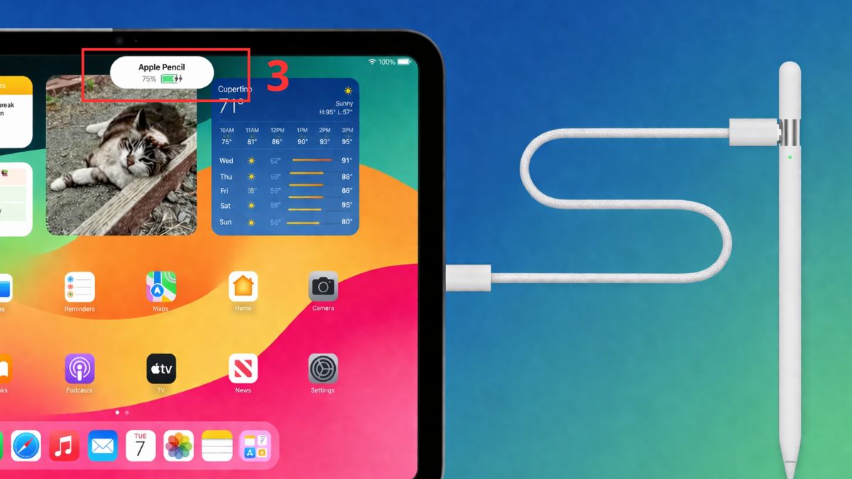 Cách sạc Apple Pencil USB-C - bước 3