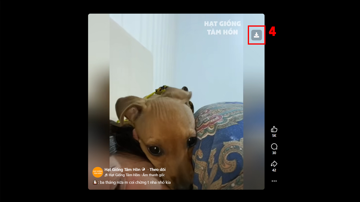 Cách tải video Facebook về máy tính thông qua trình duyệt chrome - bước 4