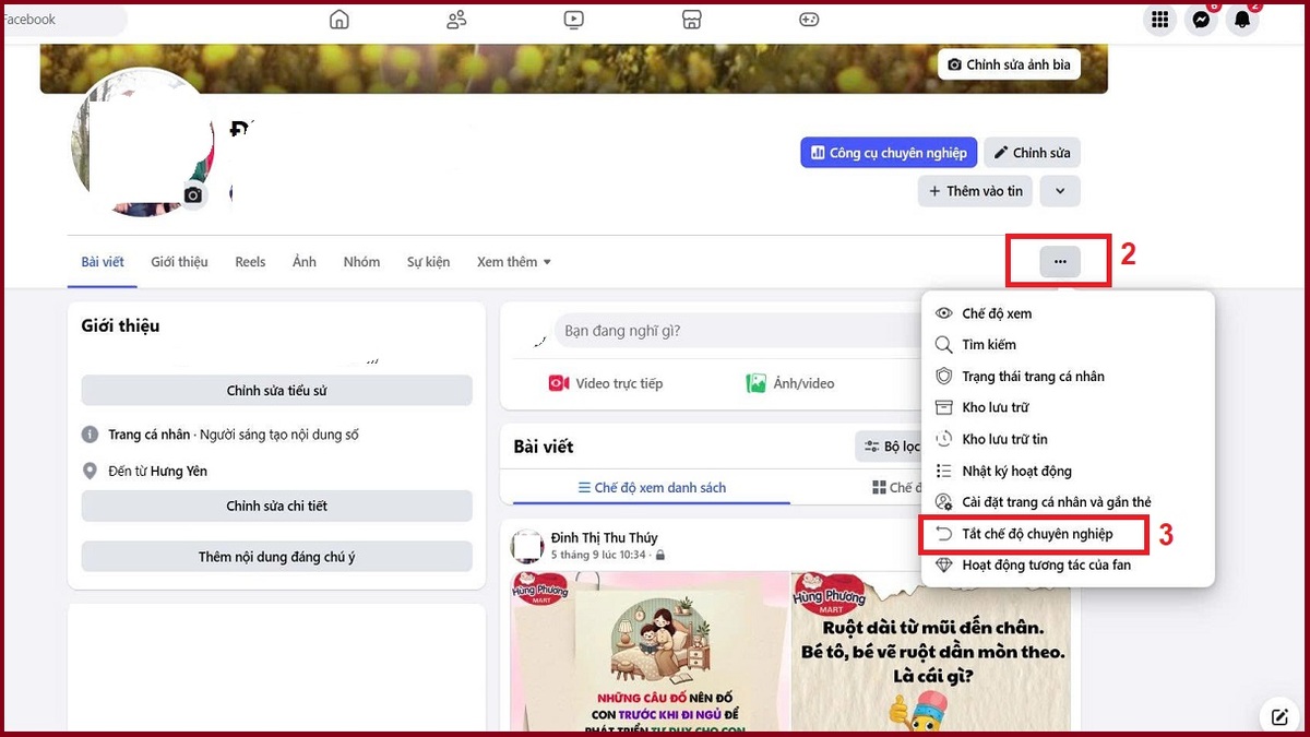 Cách tắt chế độ chuyên nghiệp trên Facebook bằng máy tính - bước 2