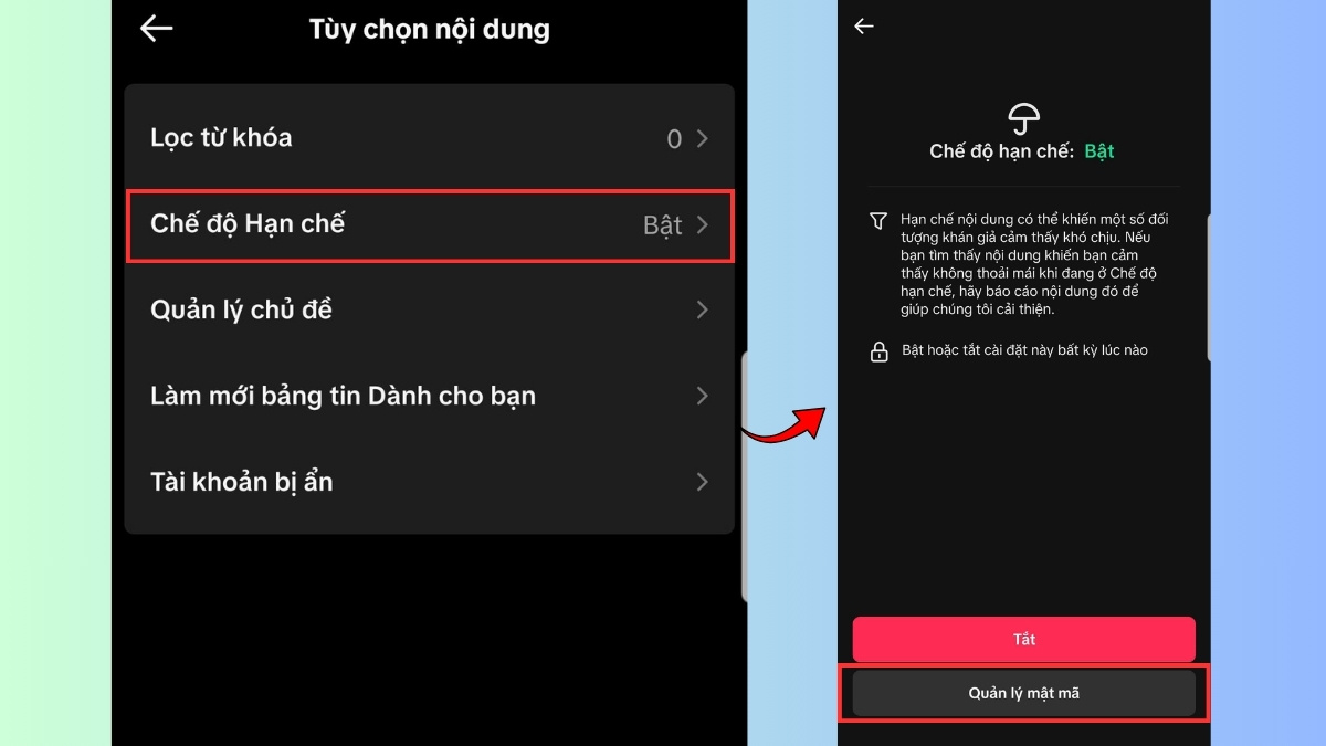Cách thay đổi mật mã chế độ hạn chế trên TikTok - bước 3
