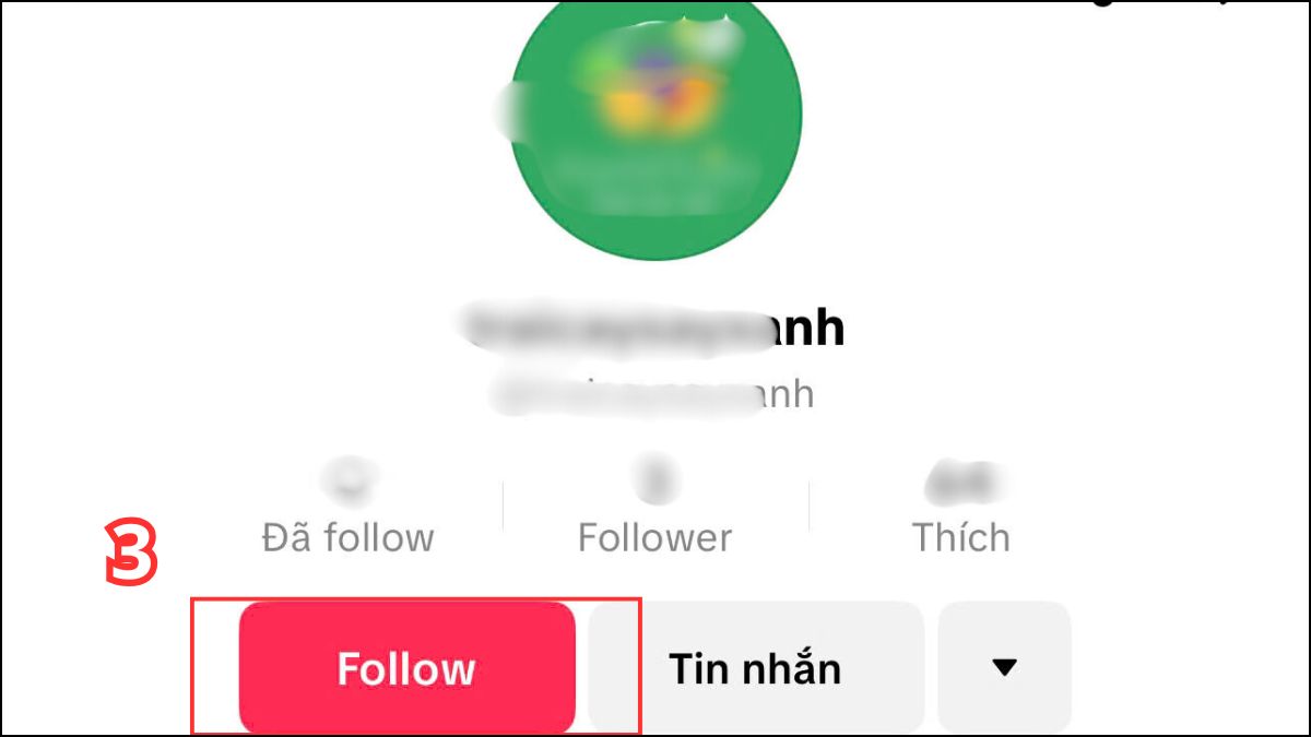 Tìm nick TikTok sử dụng hồ sơ liên kết trên Facebook - bước 3