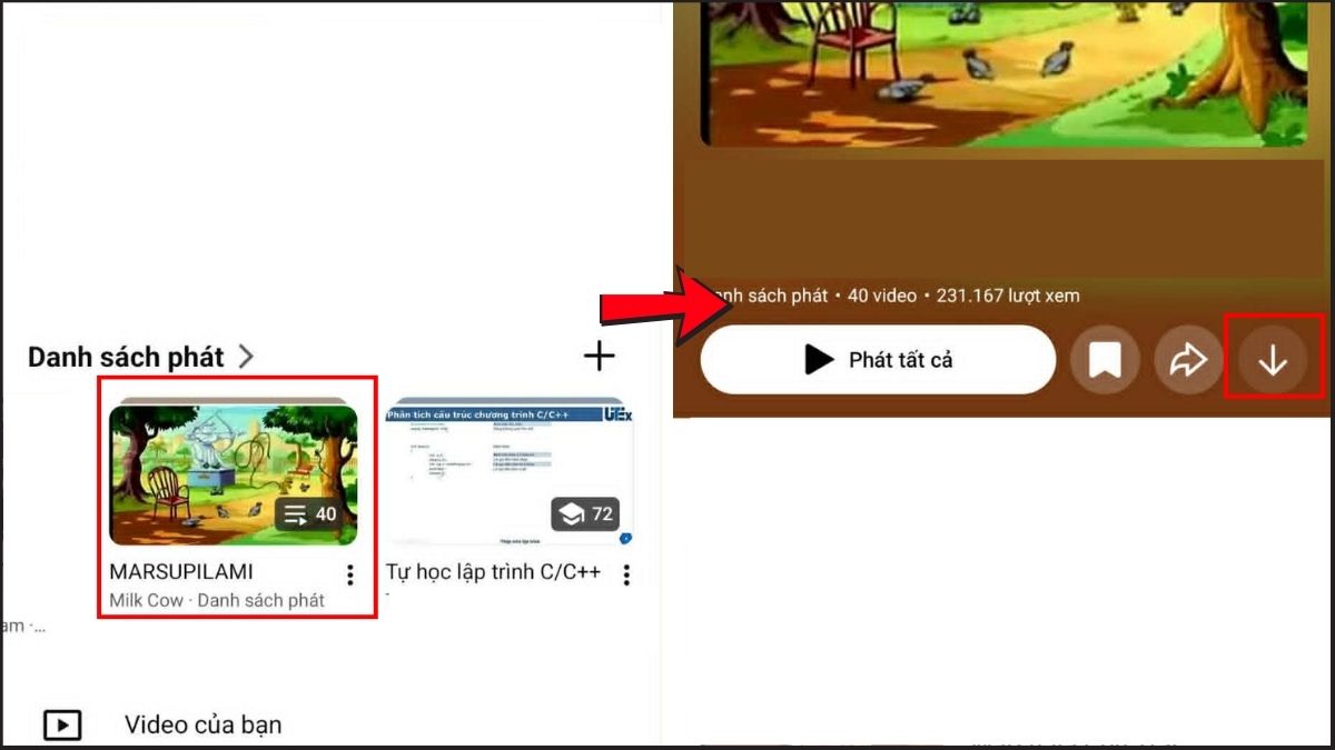 Mẹo tải cả playlist Youtube chỉ với 1 click - bước 1