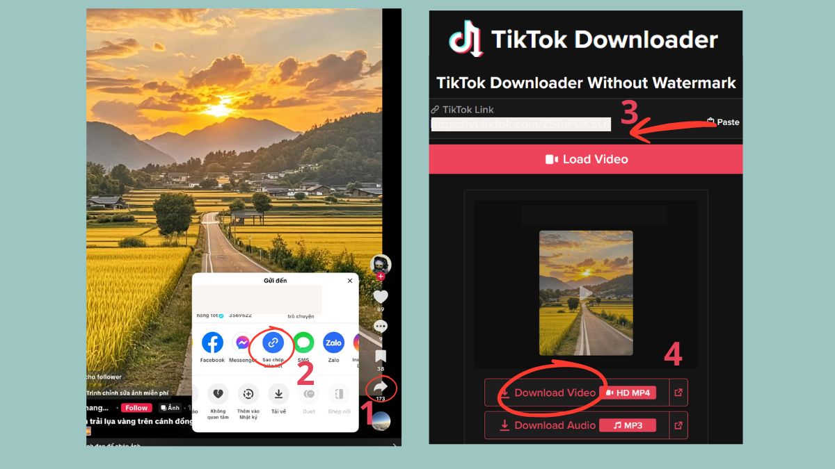 Cách bỏ logo TikTok bằng TikTok Downloader