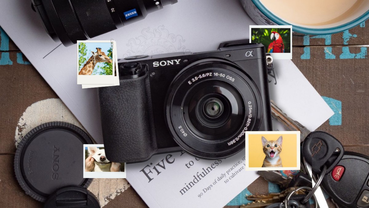 Lưu ý trước khi xóa nhiều ảnh trên máy ảnh Sony