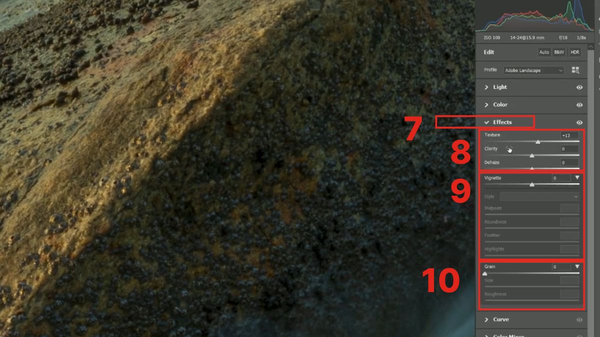 Hướng dẫn sử dụng Camera RAW cơ bản đến nâng cao - bước 3