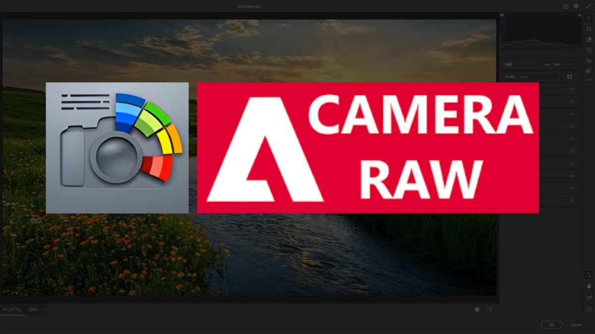 Camera RAW là gì? Cách tải và cài đặt Camera RAW chi tiết