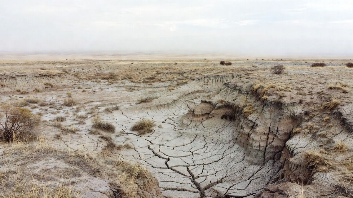 Hình ảnh hạn hán và sa mạc hóa - 2