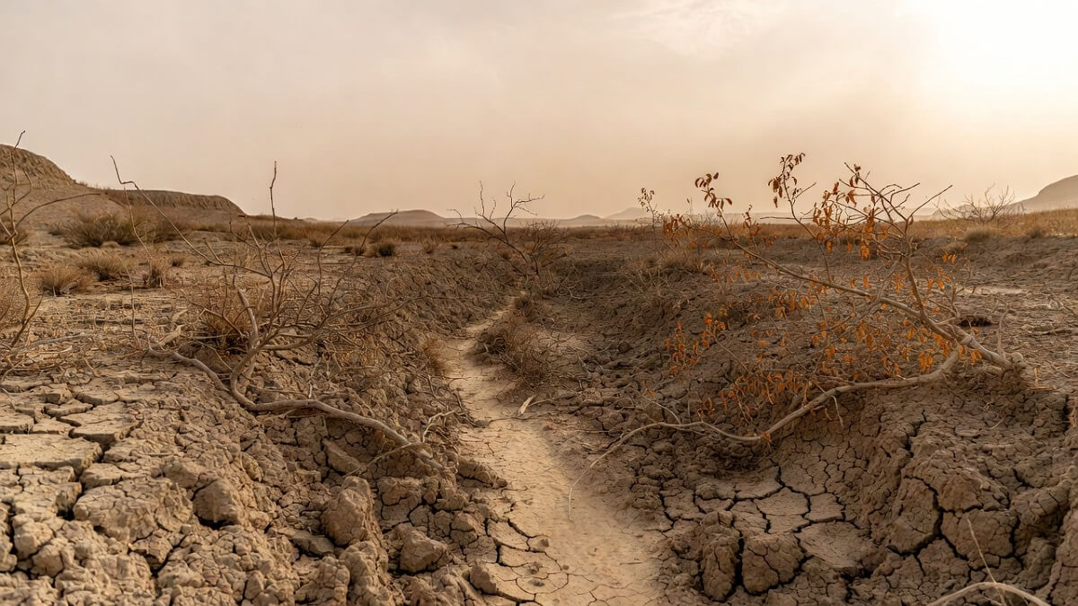 Hình ảnh hạn hán và sa mạc hóa - 3