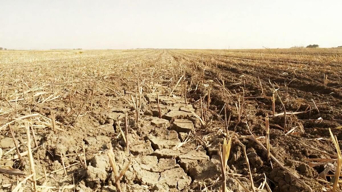 Hình ảnh hạn hán và sa mạc hóa - 5