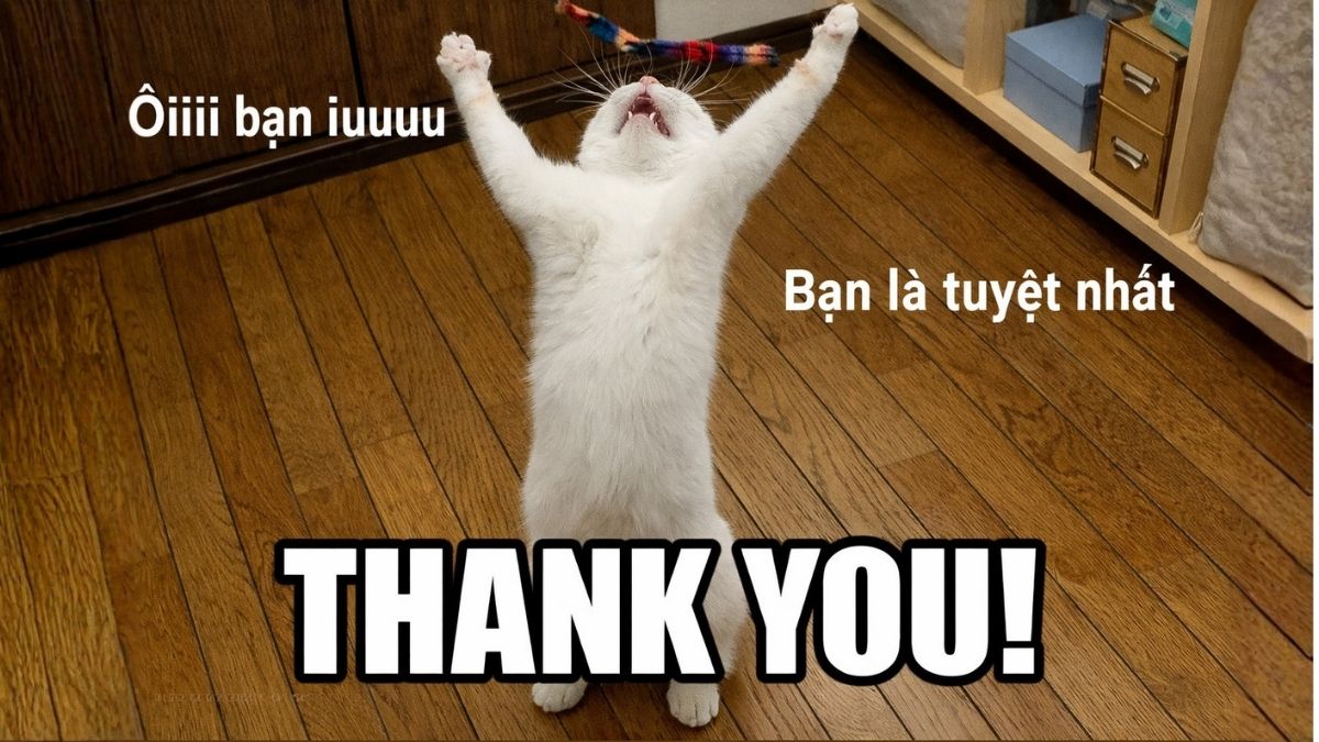 Hình ảnh cảm ơn hài hước - 3