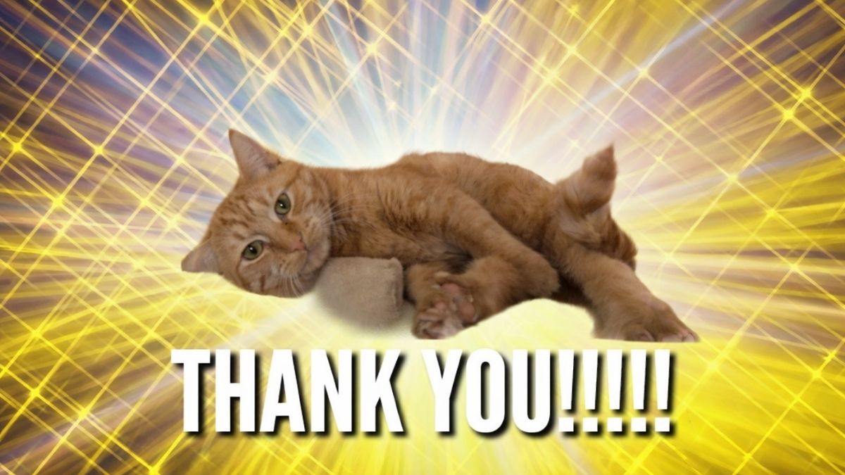 Hình ảnh cảm ơn hài hước - 5