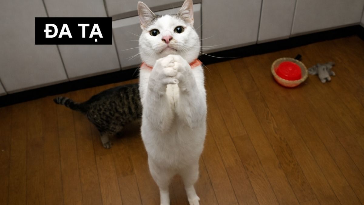 Hình ảnh cảm ơn hài hước - 6