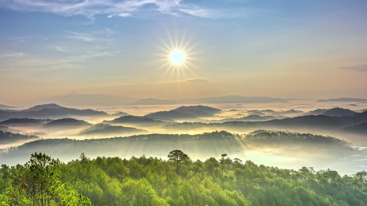 Hình ảnh đồi thông Đà Lạt - 3