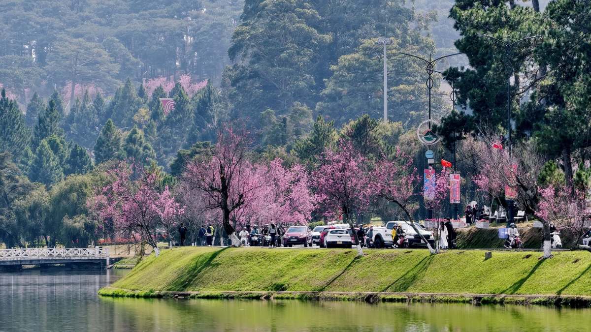 Hình ảnh Đà Lạt theo mùa Xuân - 1