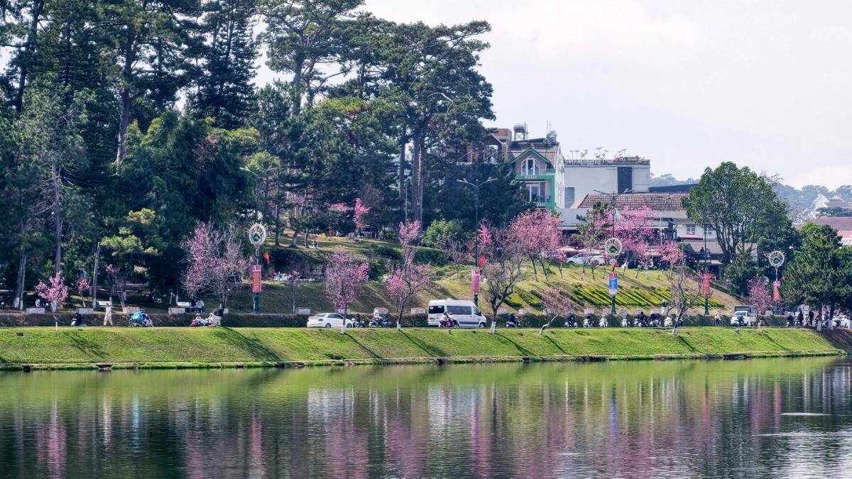 Hình ảnh Đà Lạt theo mùa Xuân - 4