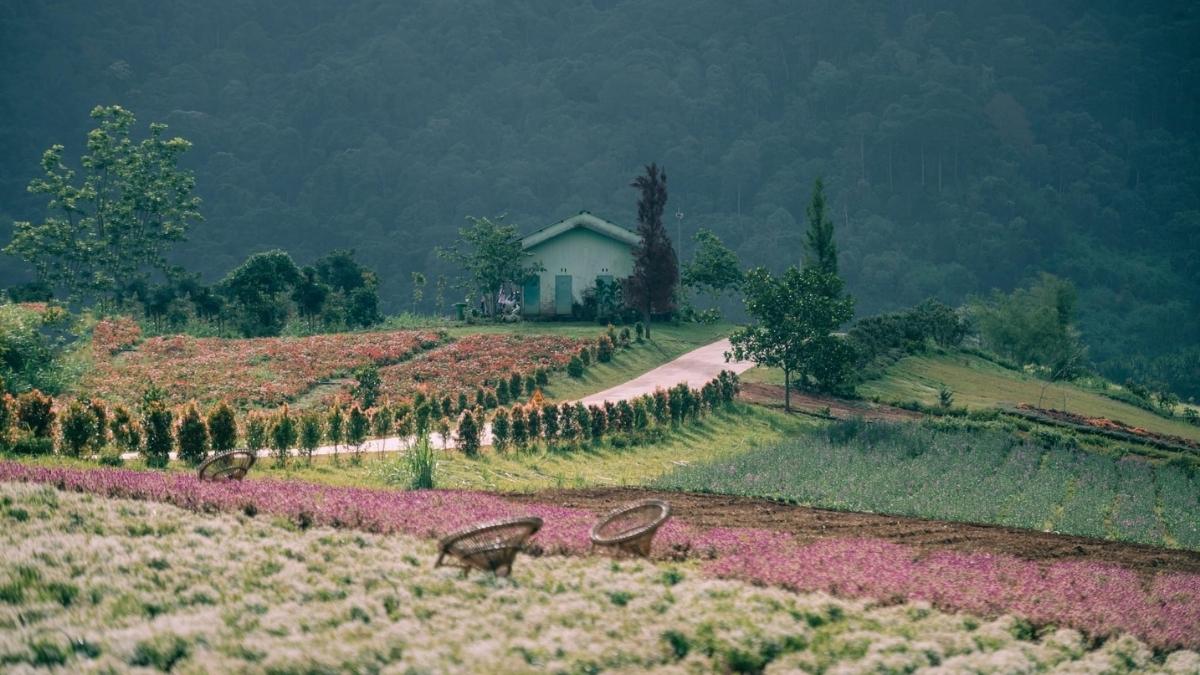 Hình ảnh Đà Lạt theo mùa Hè - 4