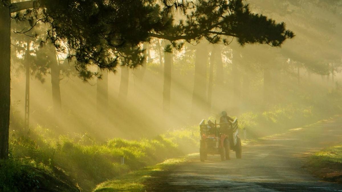 Hình ảnh Đà Lạt theo mùa Thu - 3