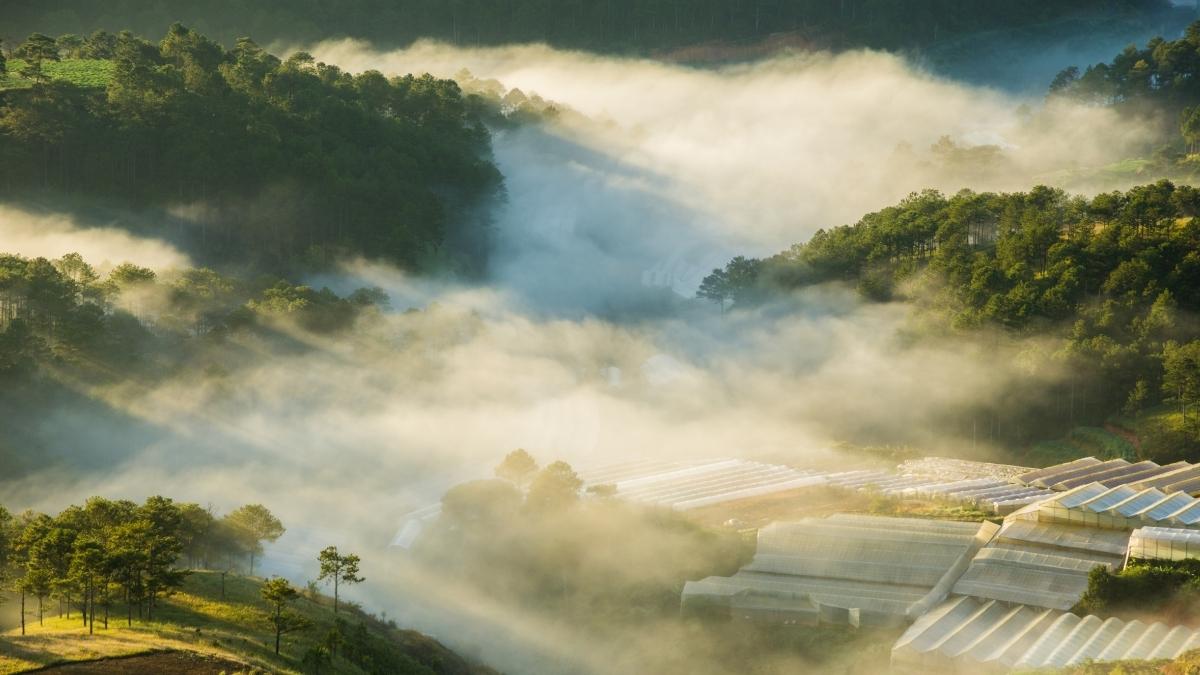 Hình ảnh Đà Lạt theo mùa Đông - 1