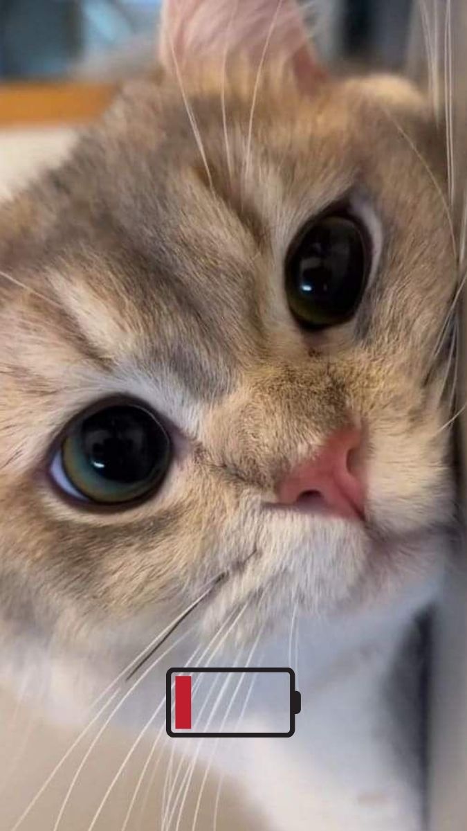 Ảnh hết pin điện thoại hài hước - 6