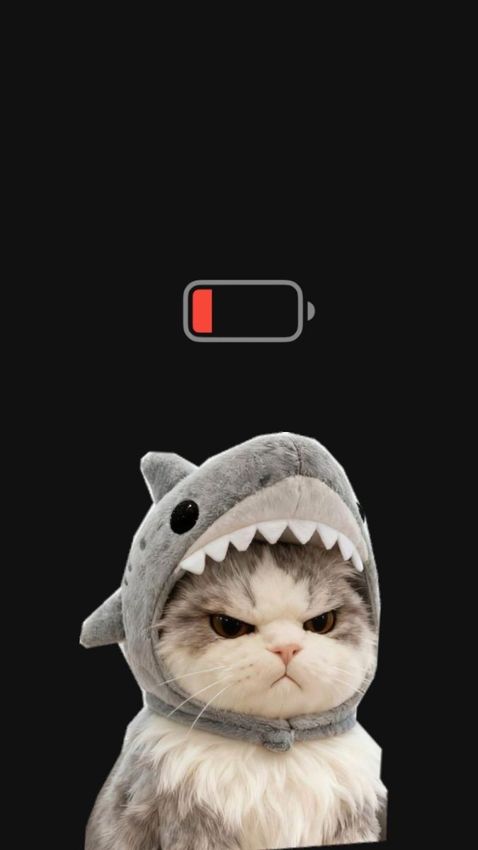 Ảnh hết pin Samsung - 6