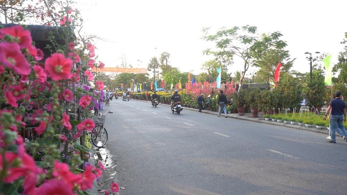 Hình ảnh Chợ hoa xuân Hội An - 4