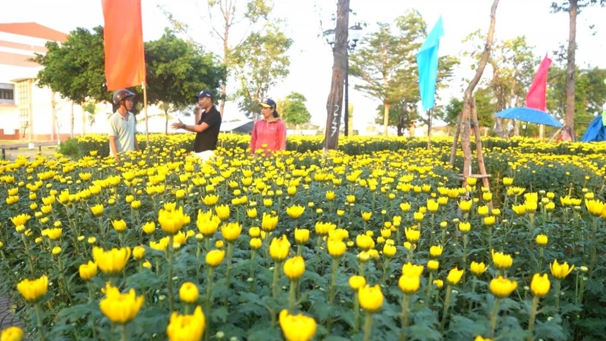 Hình ảnh Chợ hoa xuân Hội An - 6
