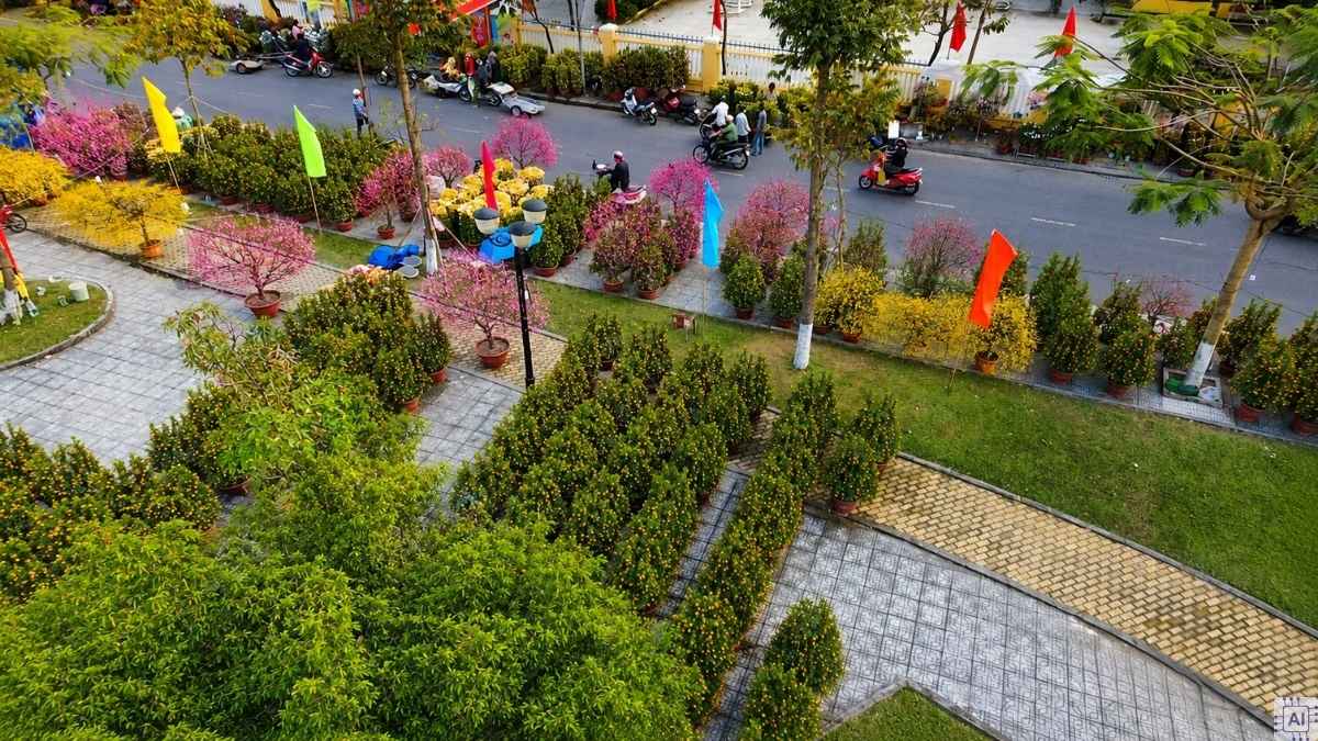 Hình ảnh Chợ hoa xuân Hội An - 10