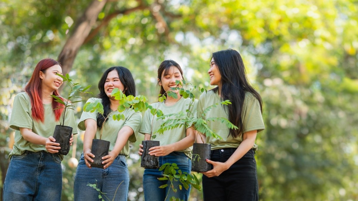 Hình ảnh trồng rừng  - 5