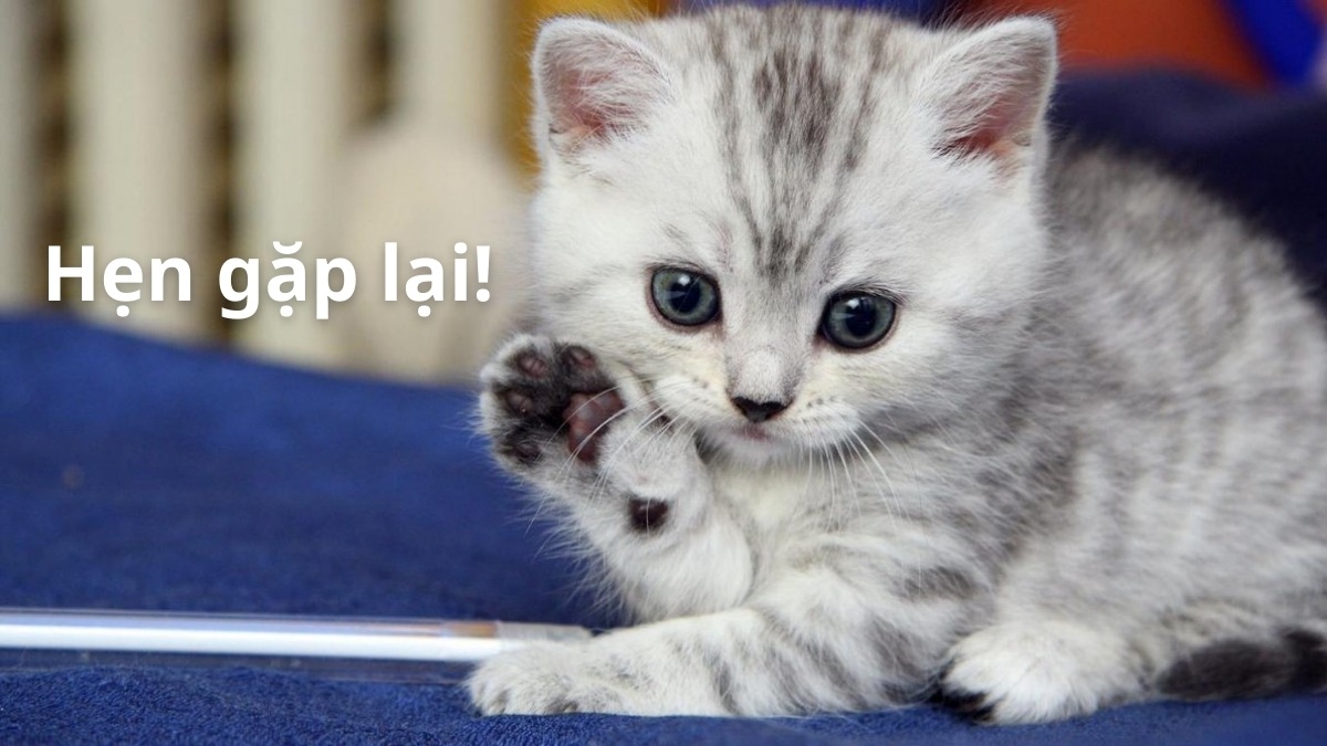 Hình ảnh chào tạm biệt và hẹn gặp lại - 8