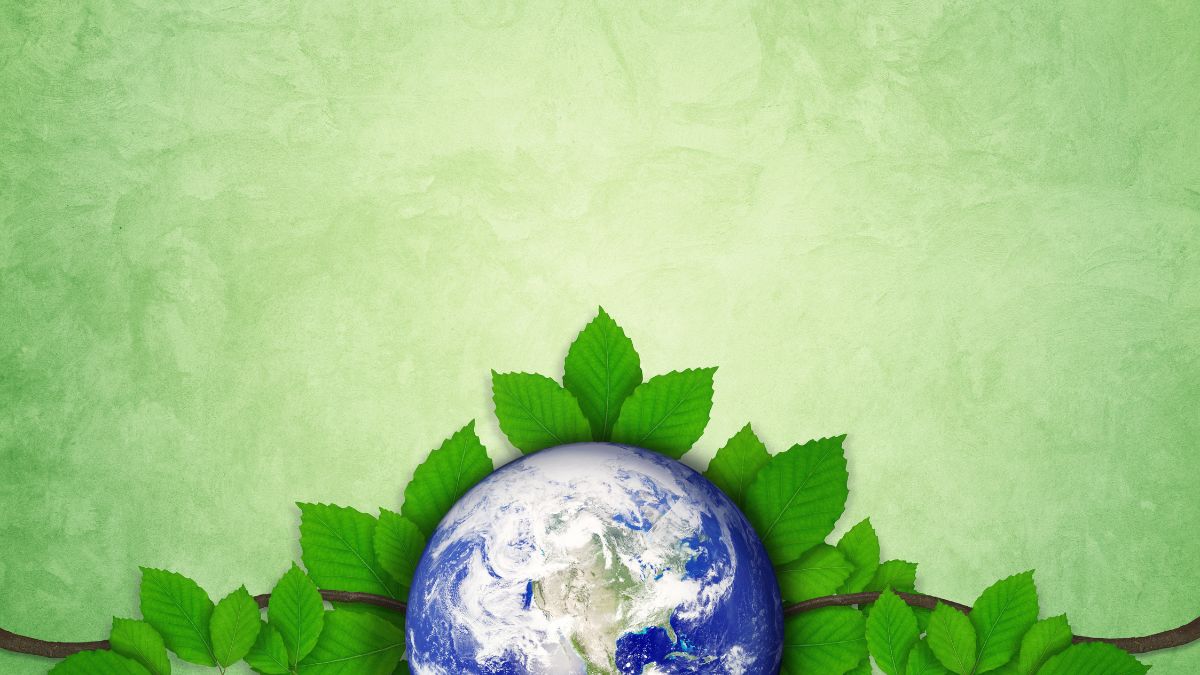 Hình ảnh Trái Đất xanh sạch đẹp - 5