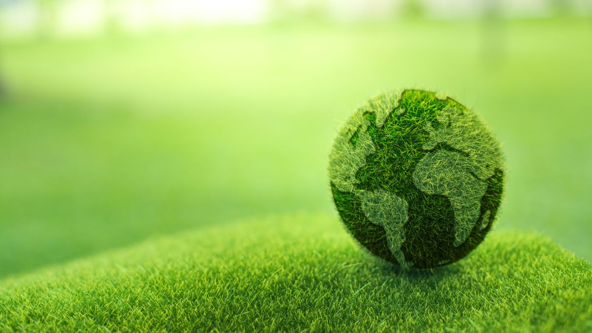 Hình ảnh Trái Đất xanh sạch đẹp - 6