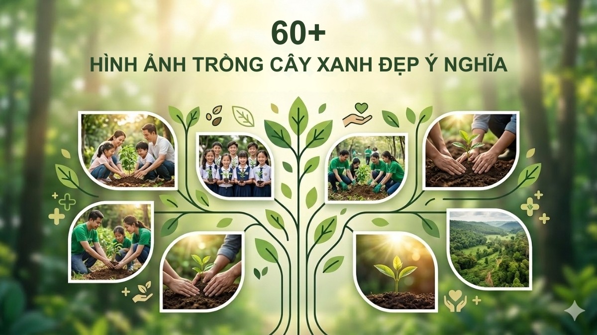 60+ Hình ảnh trồng cây xanh đẹp ý nghĩa chất lượng