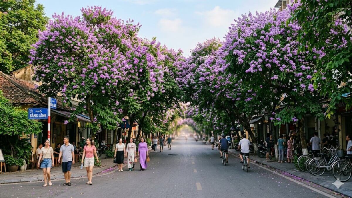 Hình nền hoa bằng lăng trong thiên nhiên - 3