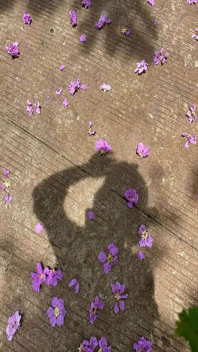 Hình nền hoa bằng lăng theo cảm xúc - 5