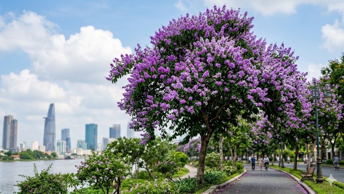 Hình nền hoa bằng lăng 4K, 8K đẹp - 3